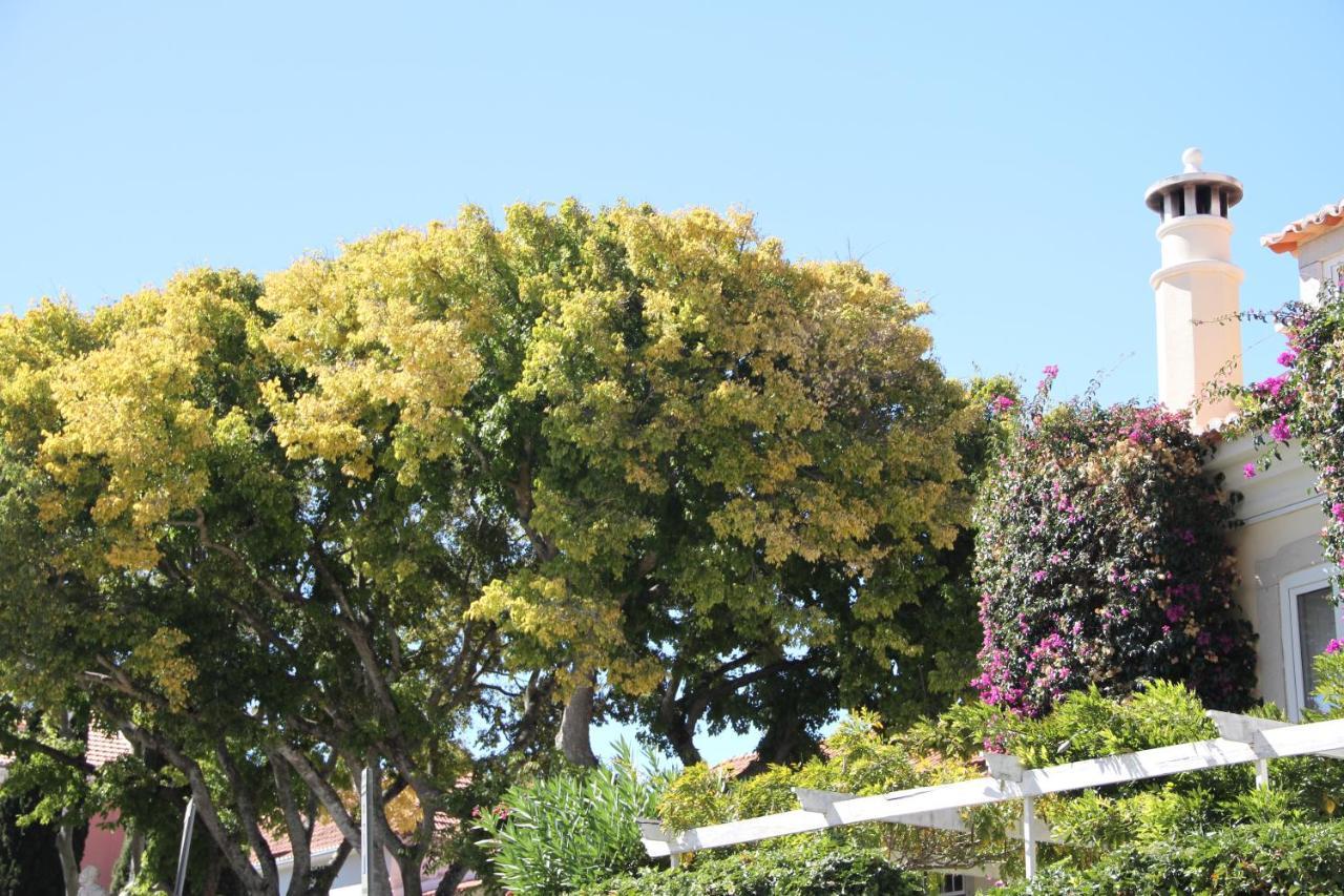 Ninho Salino Hotel Cascais Kültér fotó