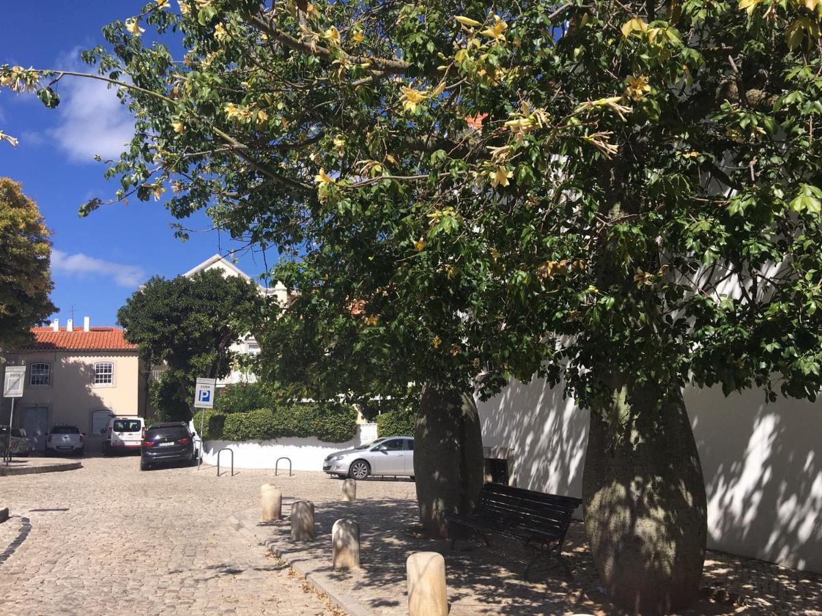 Ninho Salino Hotel Cascais Kültér fotó