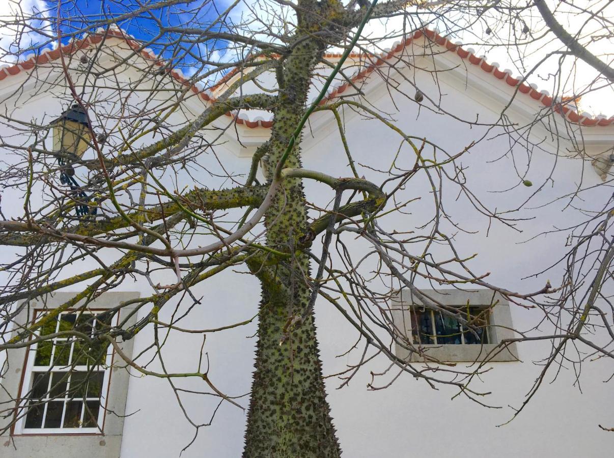 Ninho Salino Hotel Cascais Kültér fotó